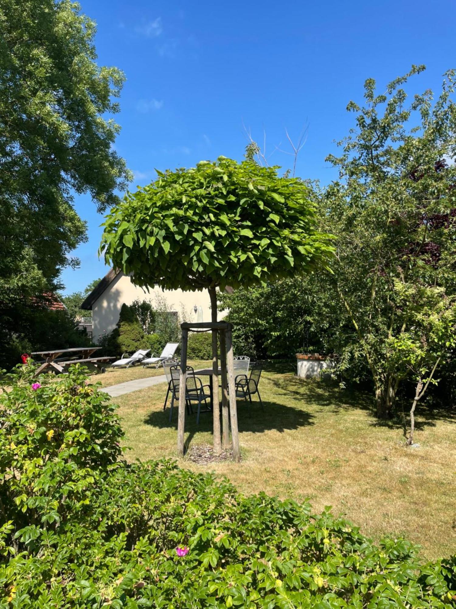 Fischerhus In Krummin - Nur Fuer Urlauber エクステリア 写真