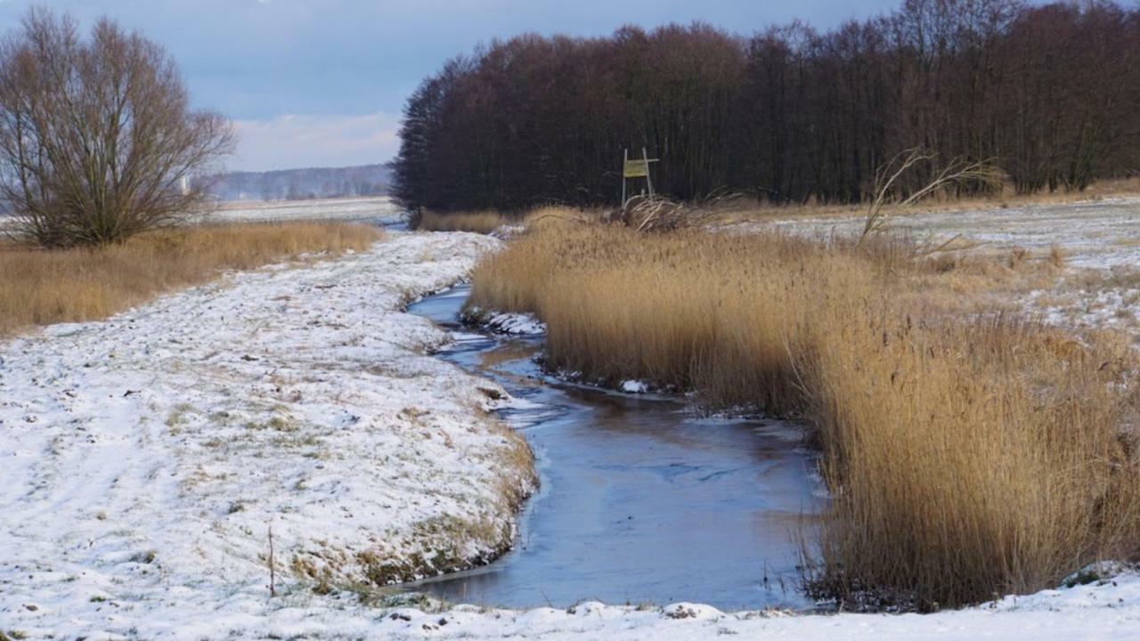 Fischerhus In Krummin - Nur Fuer Urlauber エクステリア 写真